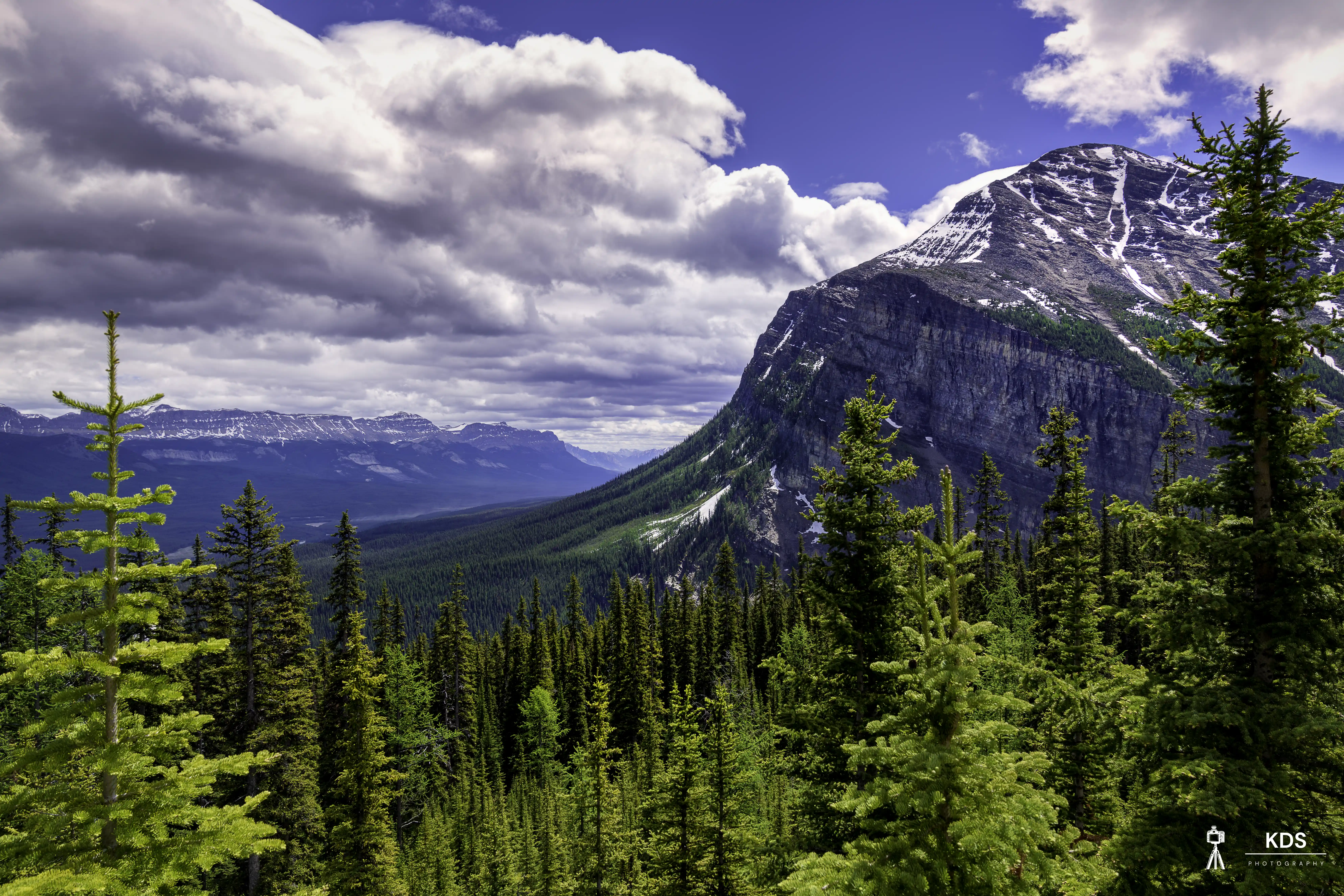 Echoes from Above of Big Bee Hive Enroute